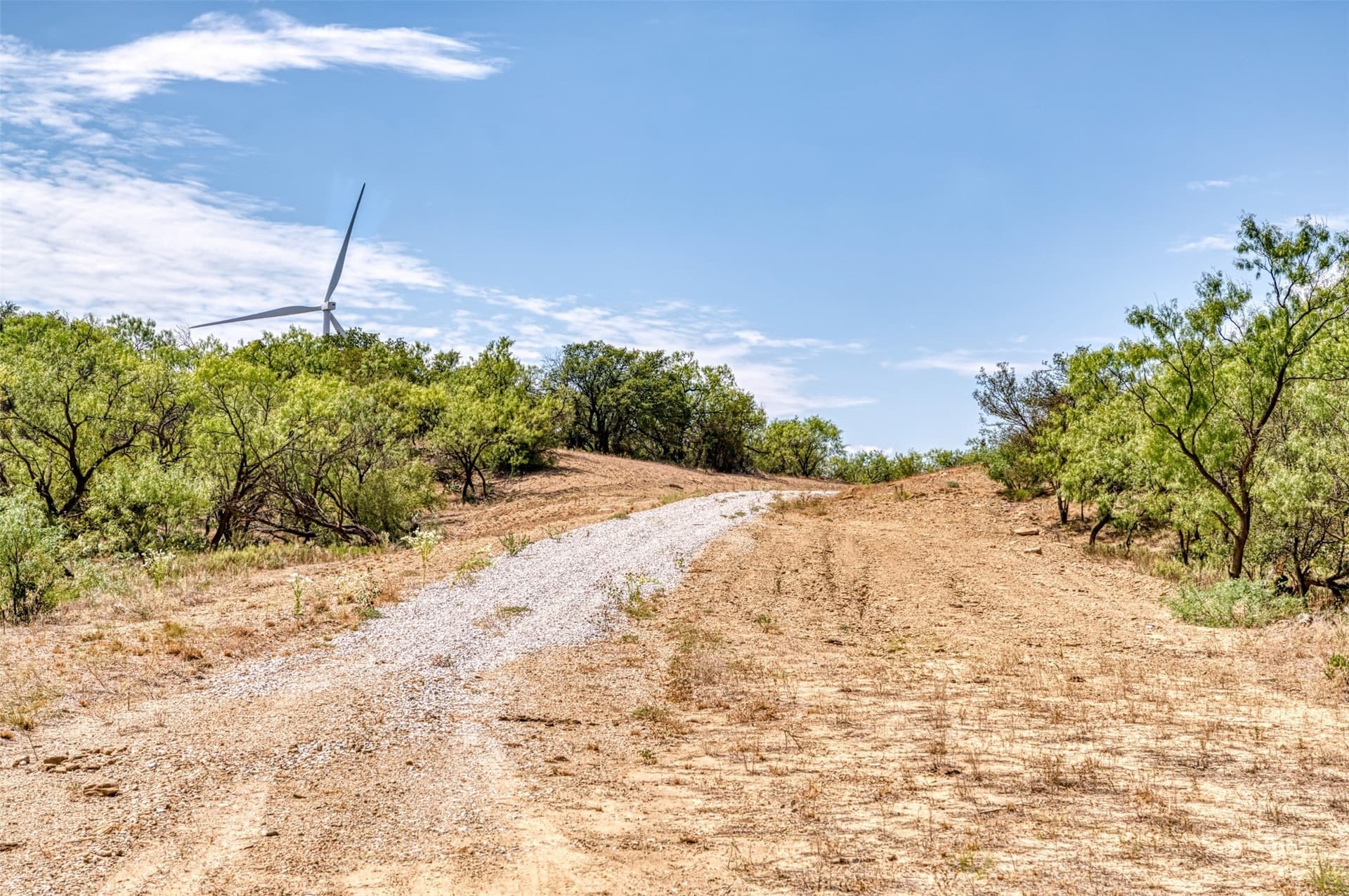 158 acres in Callahan County - photo 14
