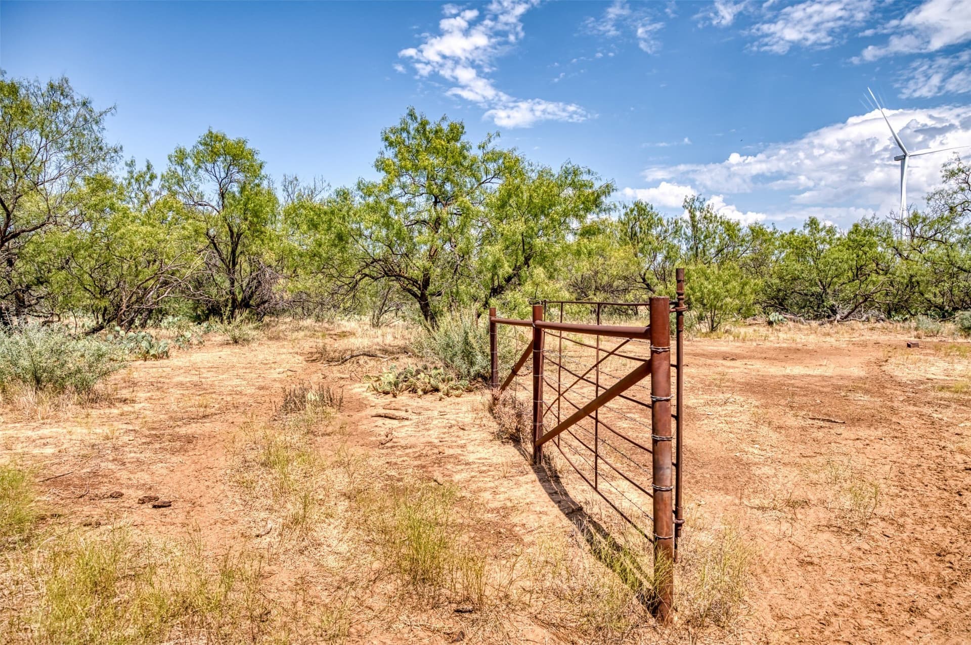 158 acres in Callahan County - photo 39