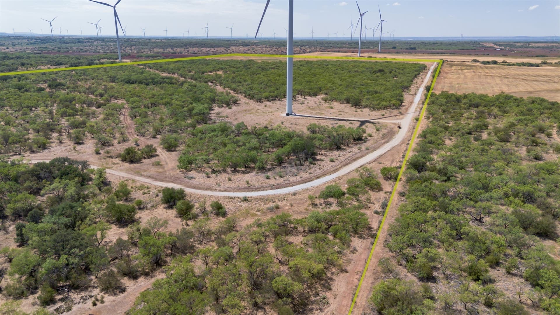 158 acres in Callahan County - photo 10