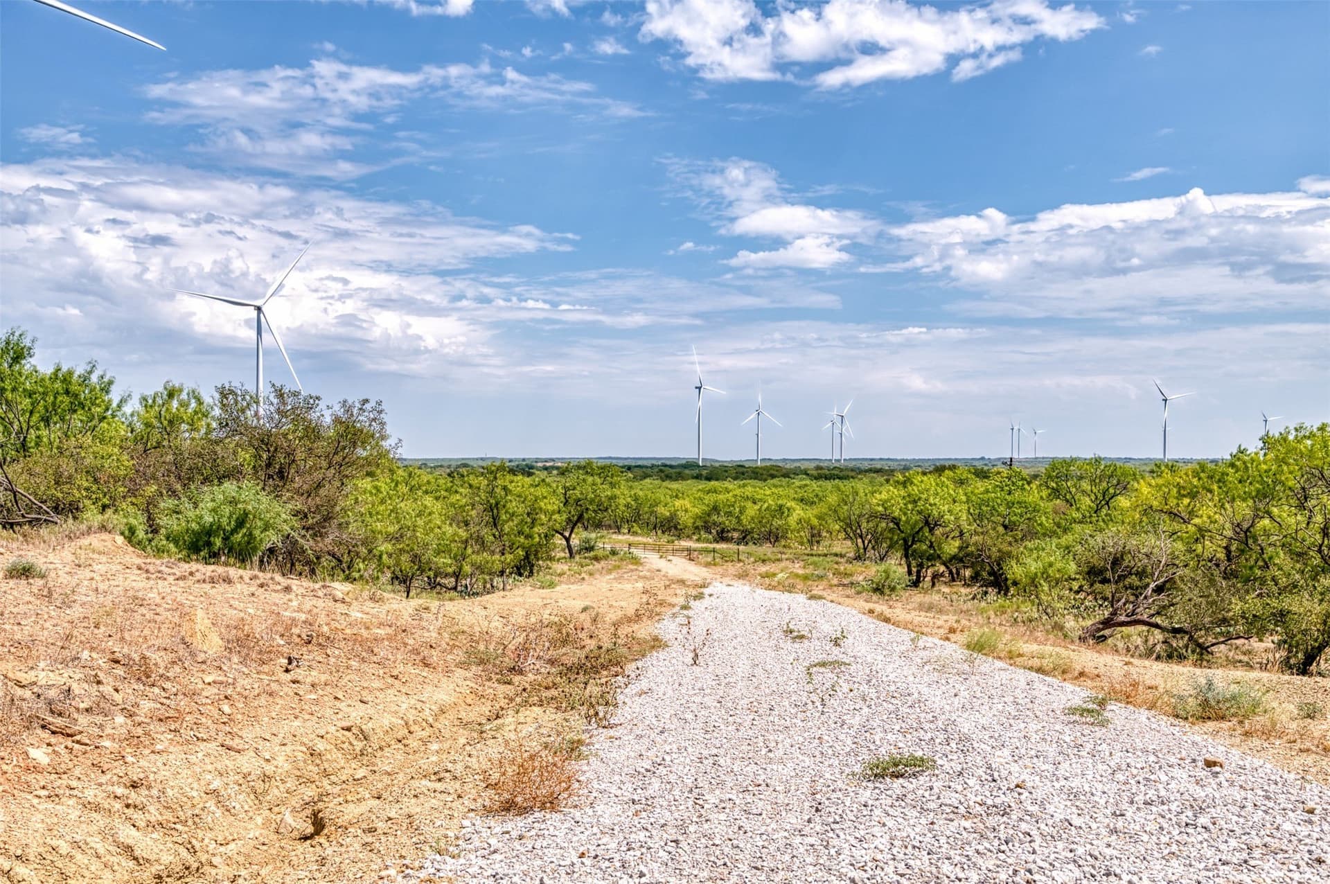 158 acres in Callahan County - photo 21