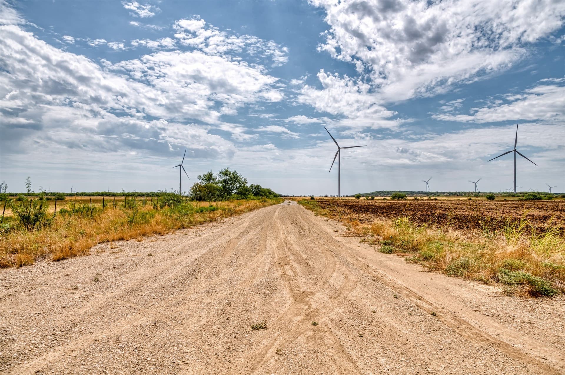 158 acres in Callahan County - photo 29