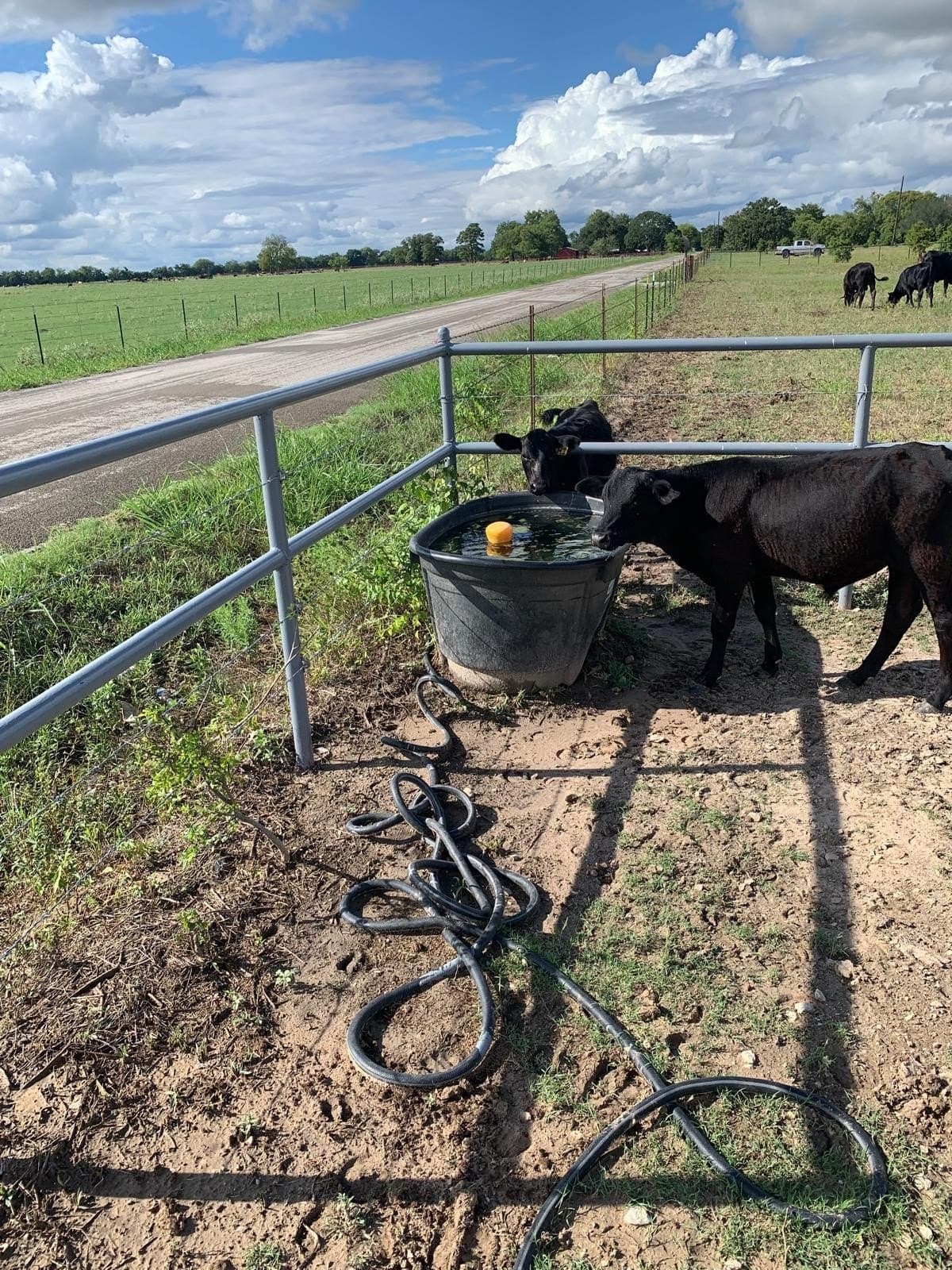 11 acres in Kaufman County - photo 10