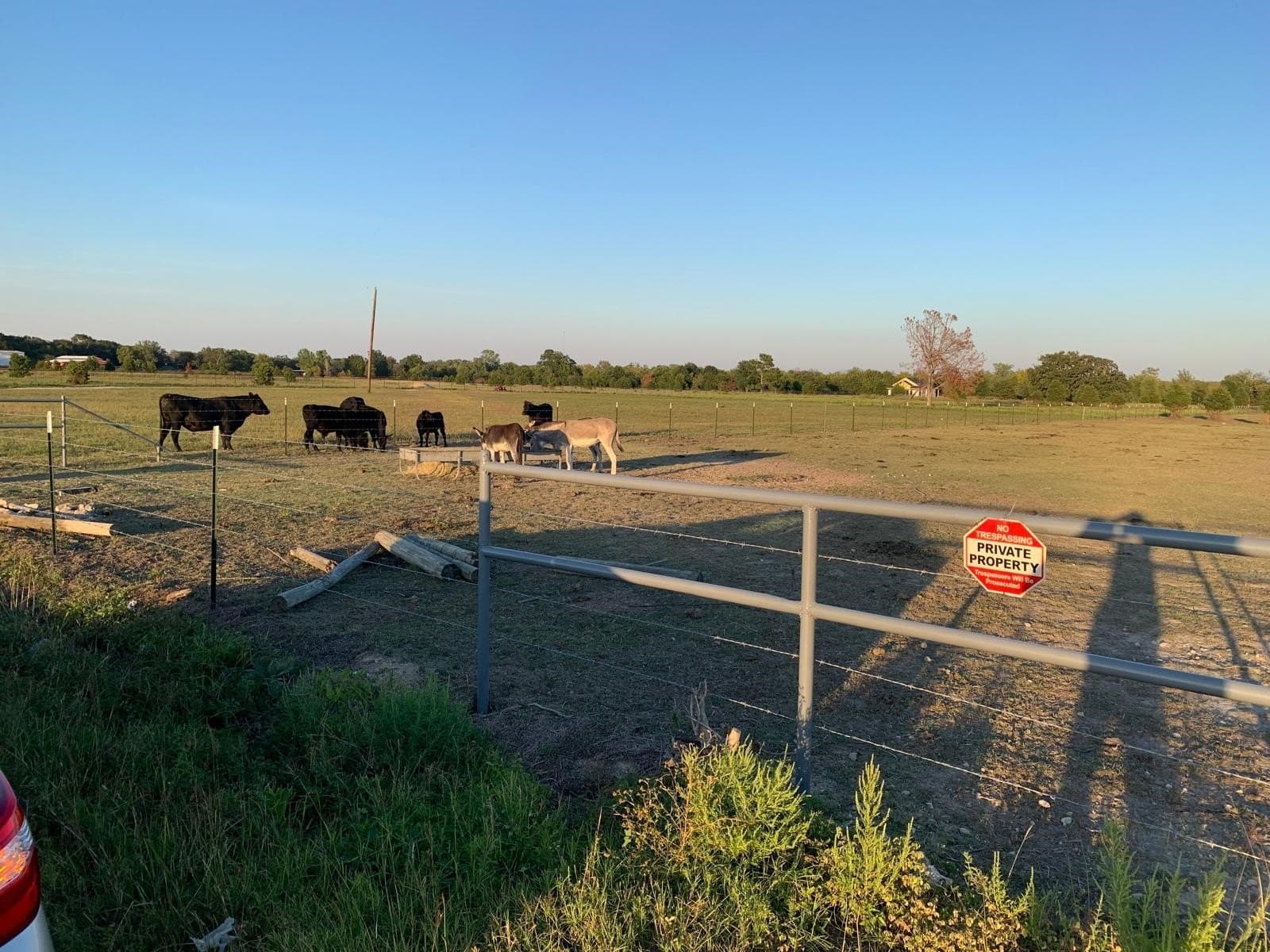 11 acres in Kaufman County - photo 12