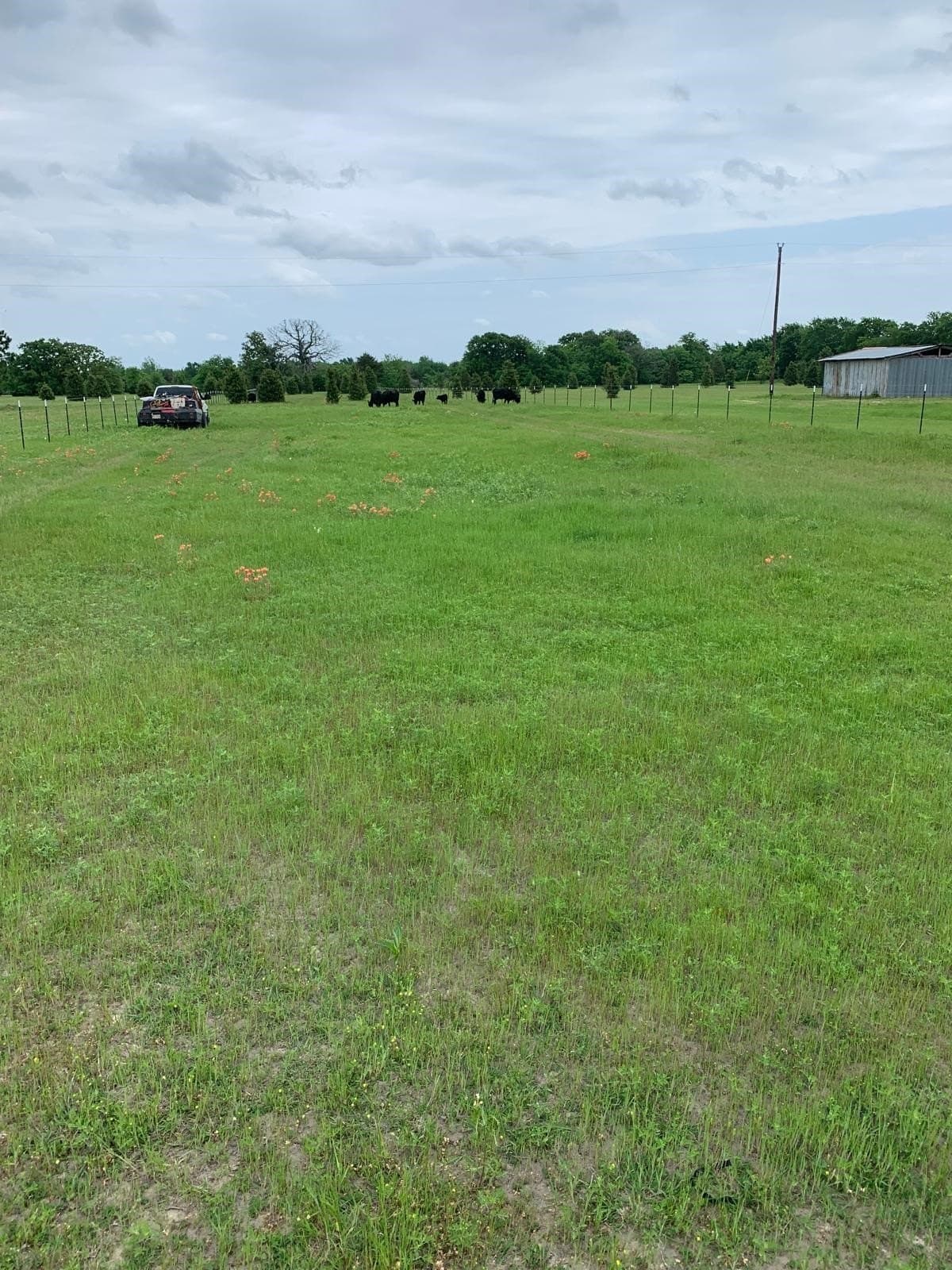 11 acres in Kaufman County - photo 22