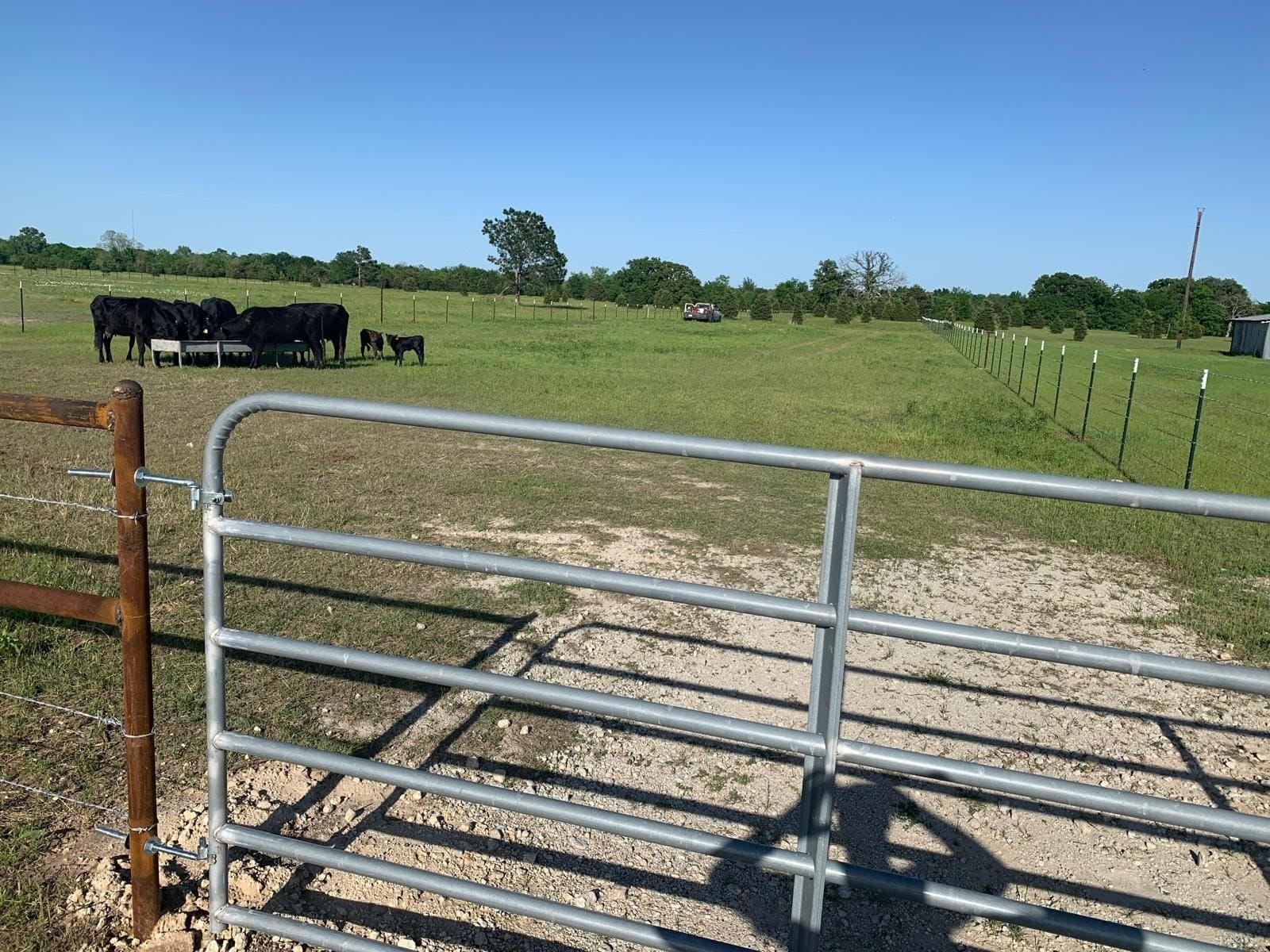 11 acres in Kaufman County gallery image 2