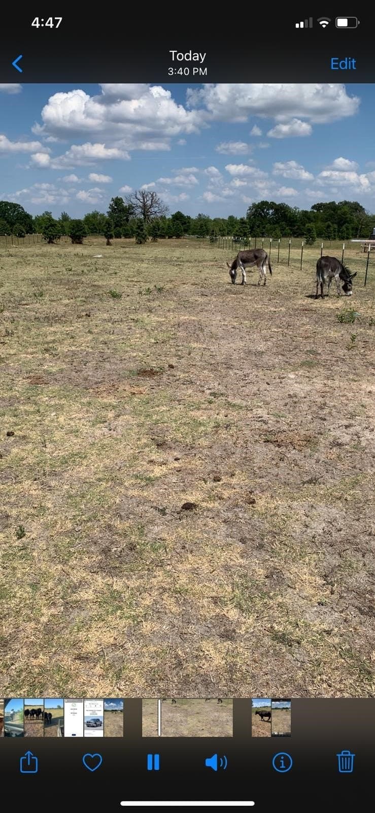 11 acres in Kaufman County - photo 20