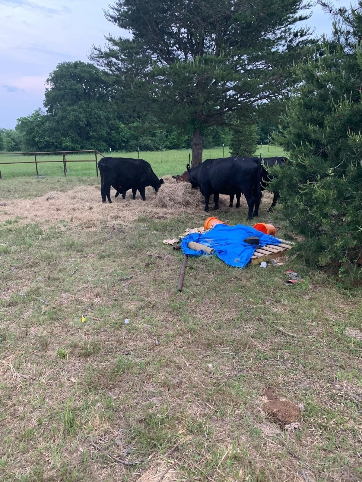 11 acres in Kaufman County - photo 15