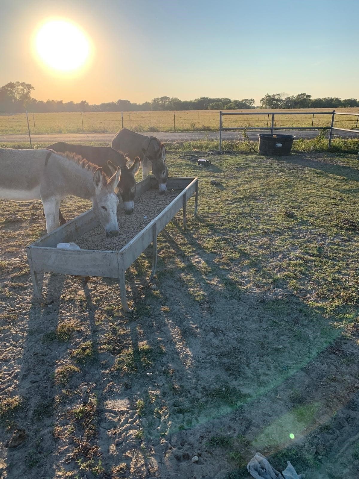 11 acres in Kaufman County - photo 8