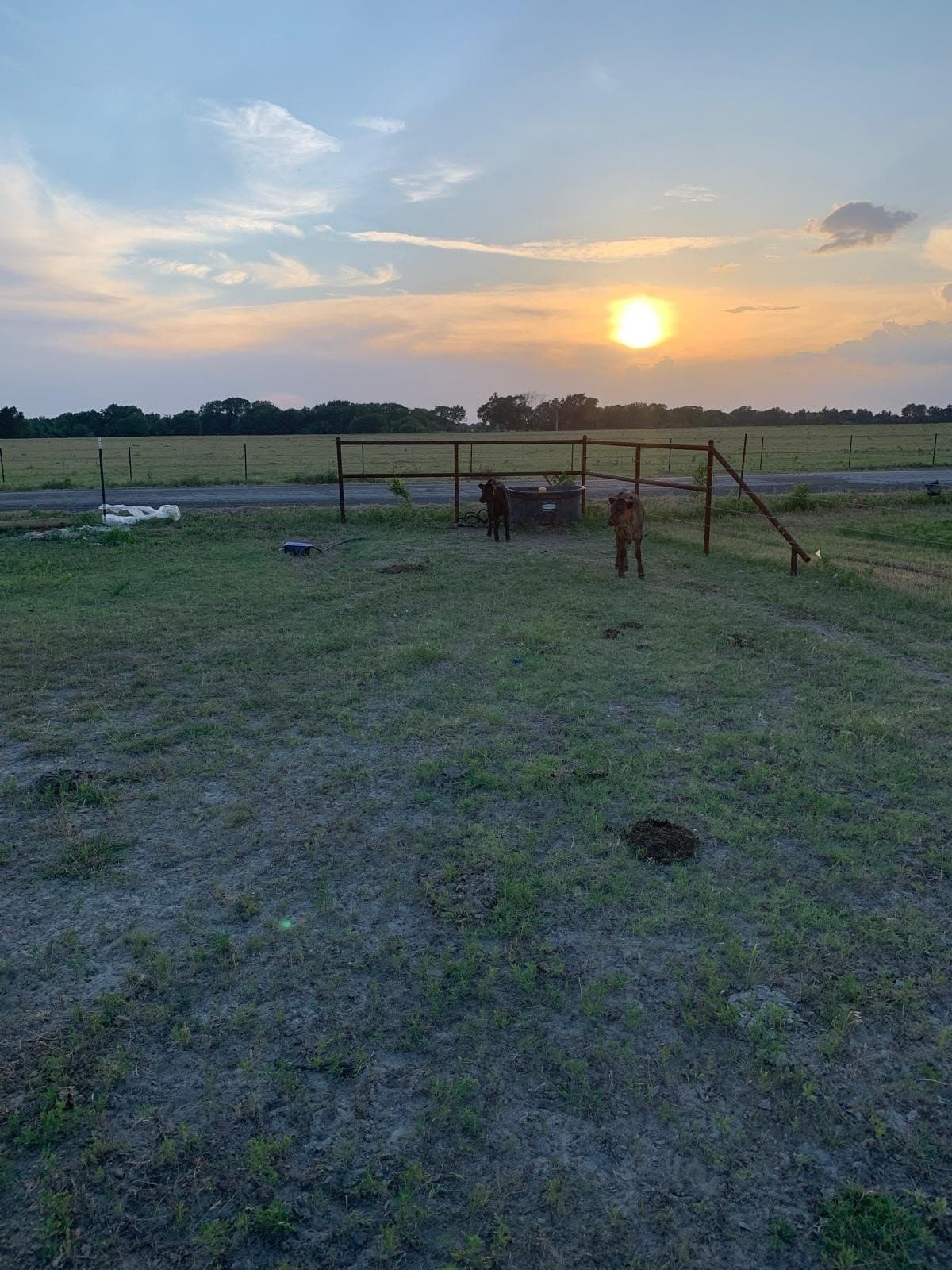 11 acres in Kaufman County - photo 9