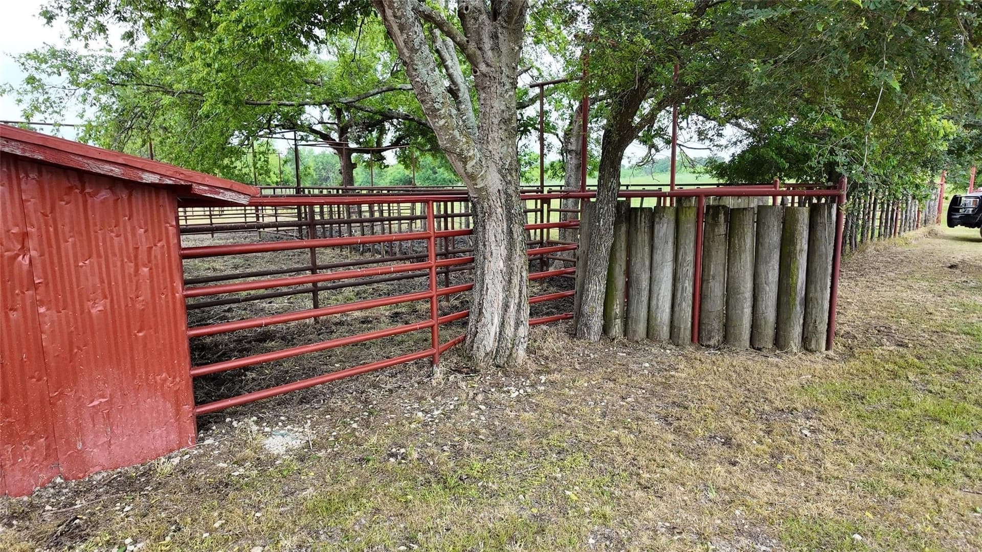 129.43 acres in Freestone County - photo 14