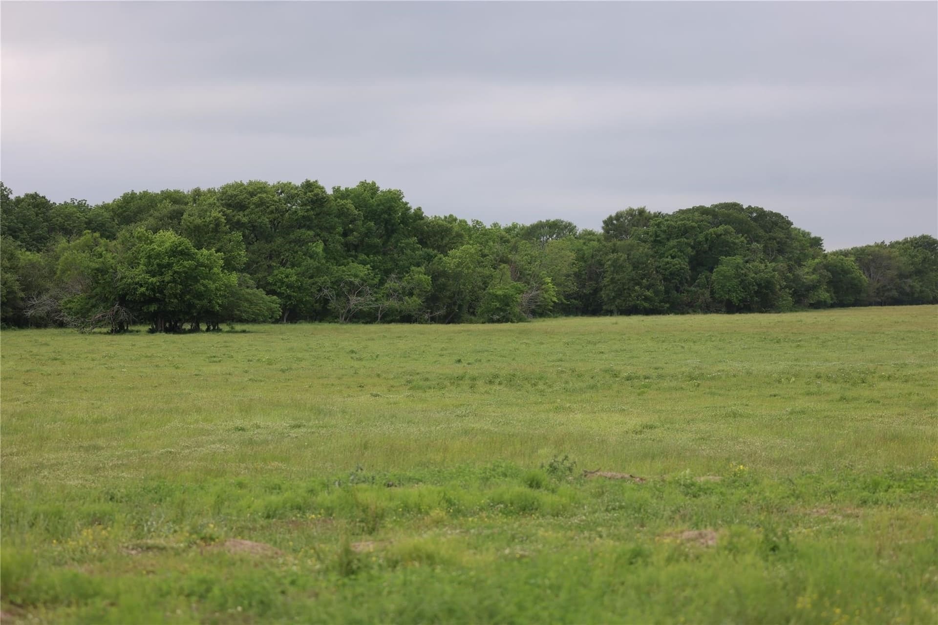 129.43 acres in Freestone County - photo 2