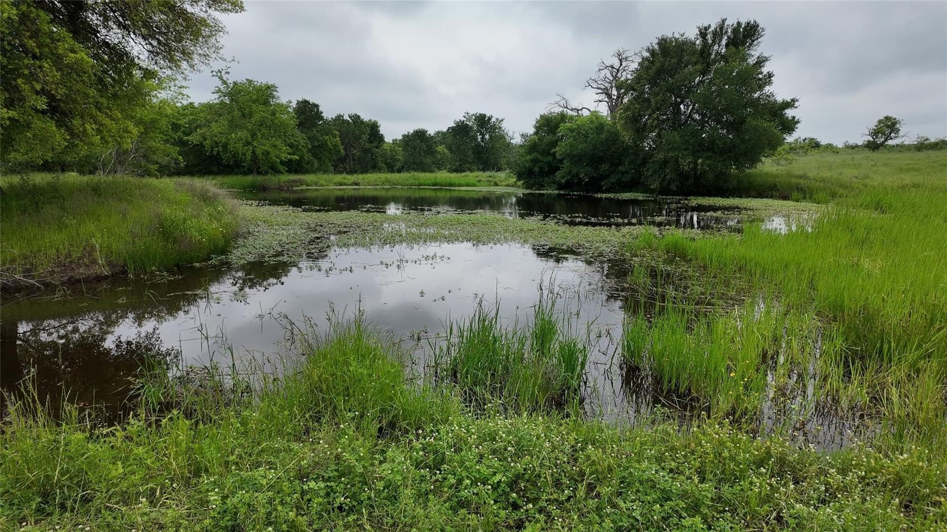 129.43 acres in Freestone County - photo 10