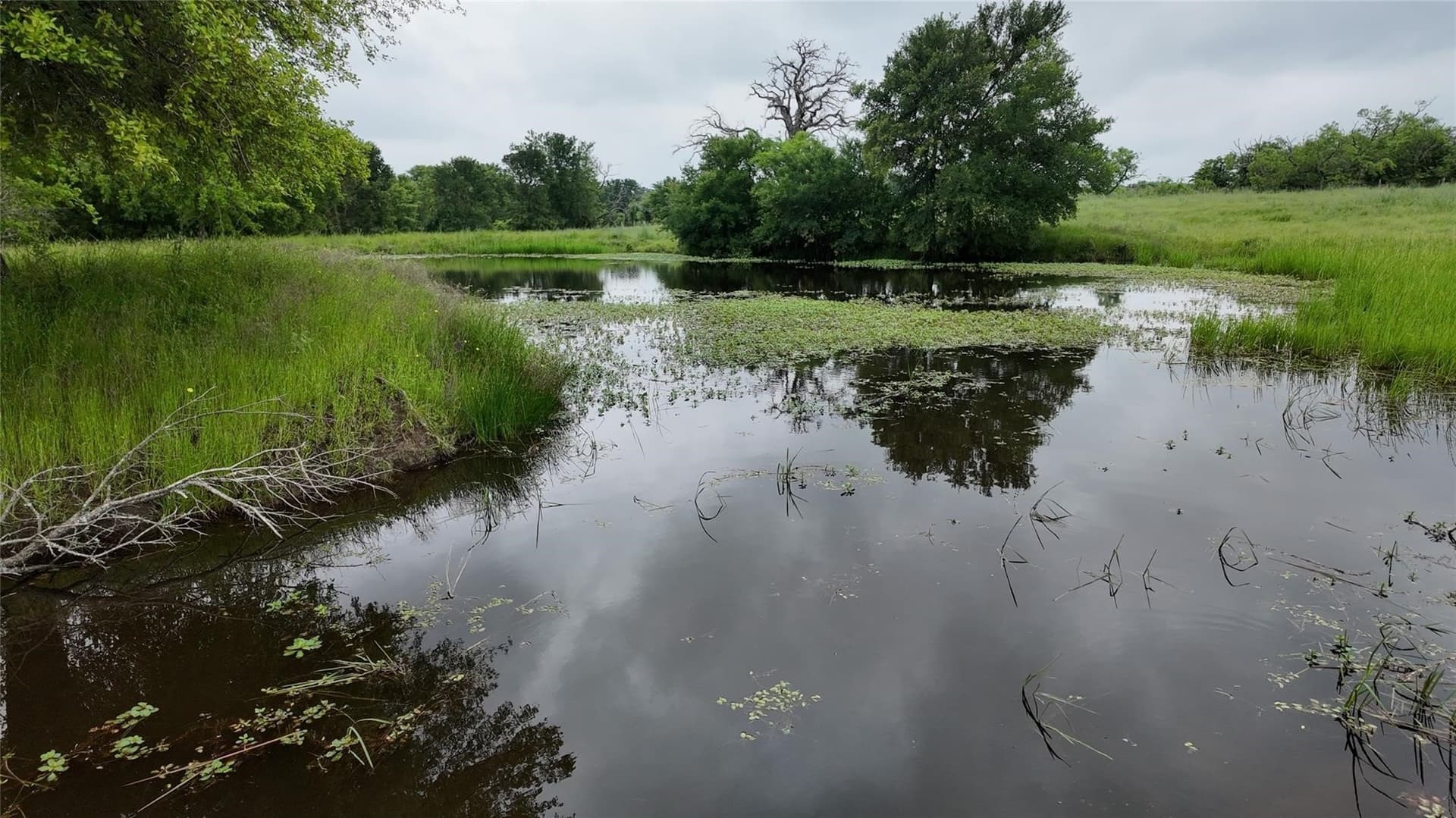 129.43 acres in Freestone County - photo 11