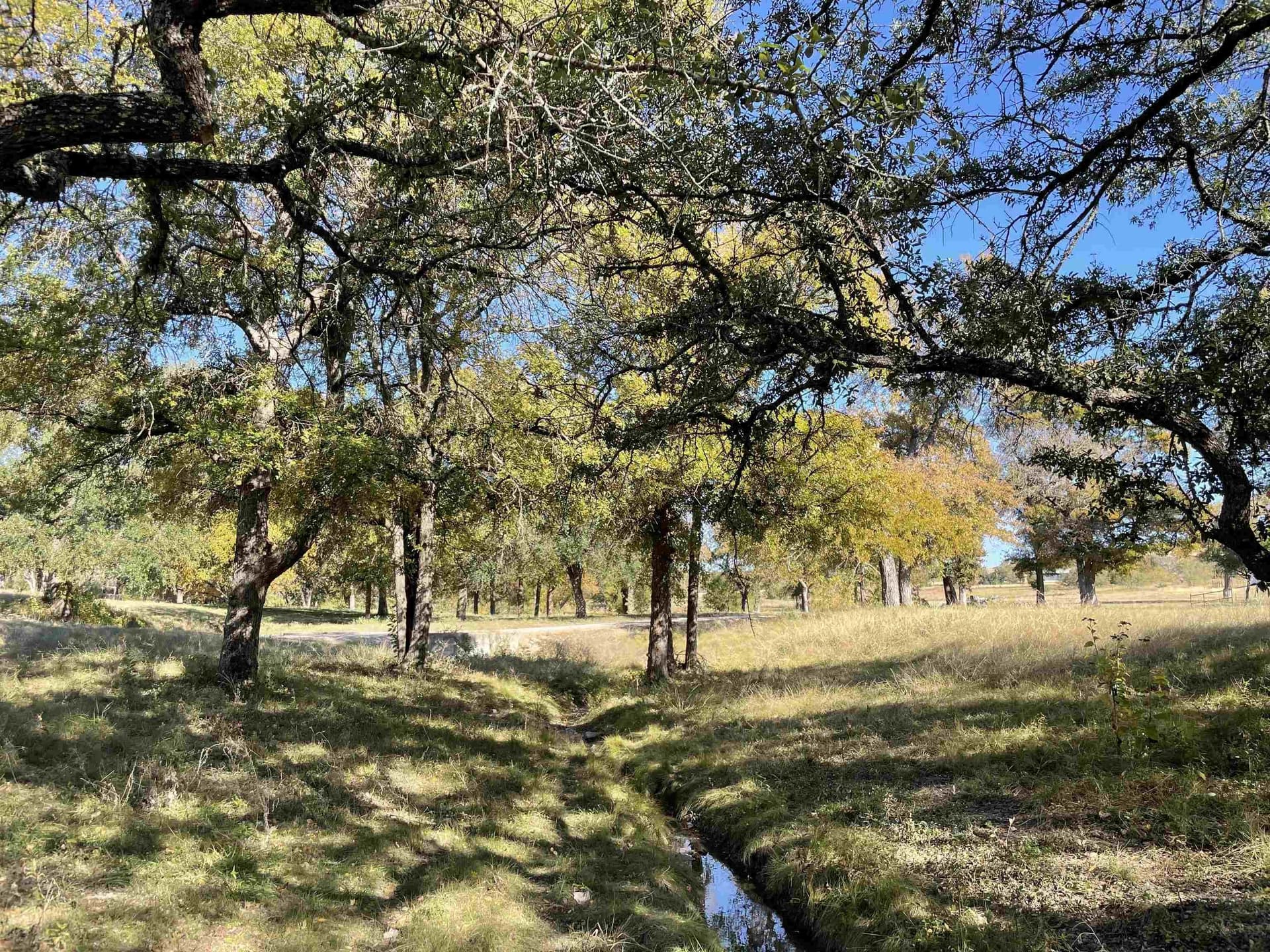 19.78 acres in Burnet County featured view
