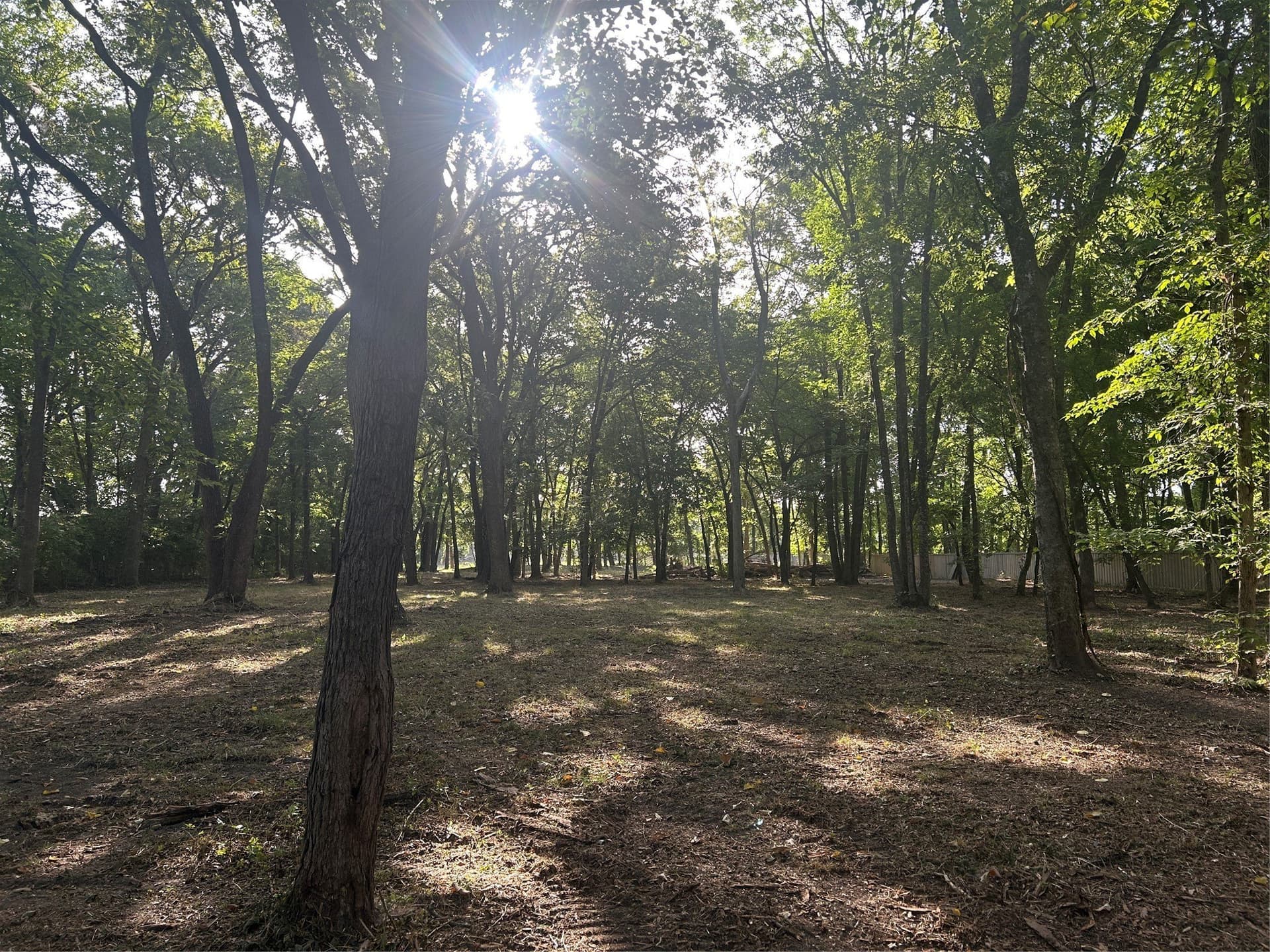 2.33 acres in Collin County - photo 5