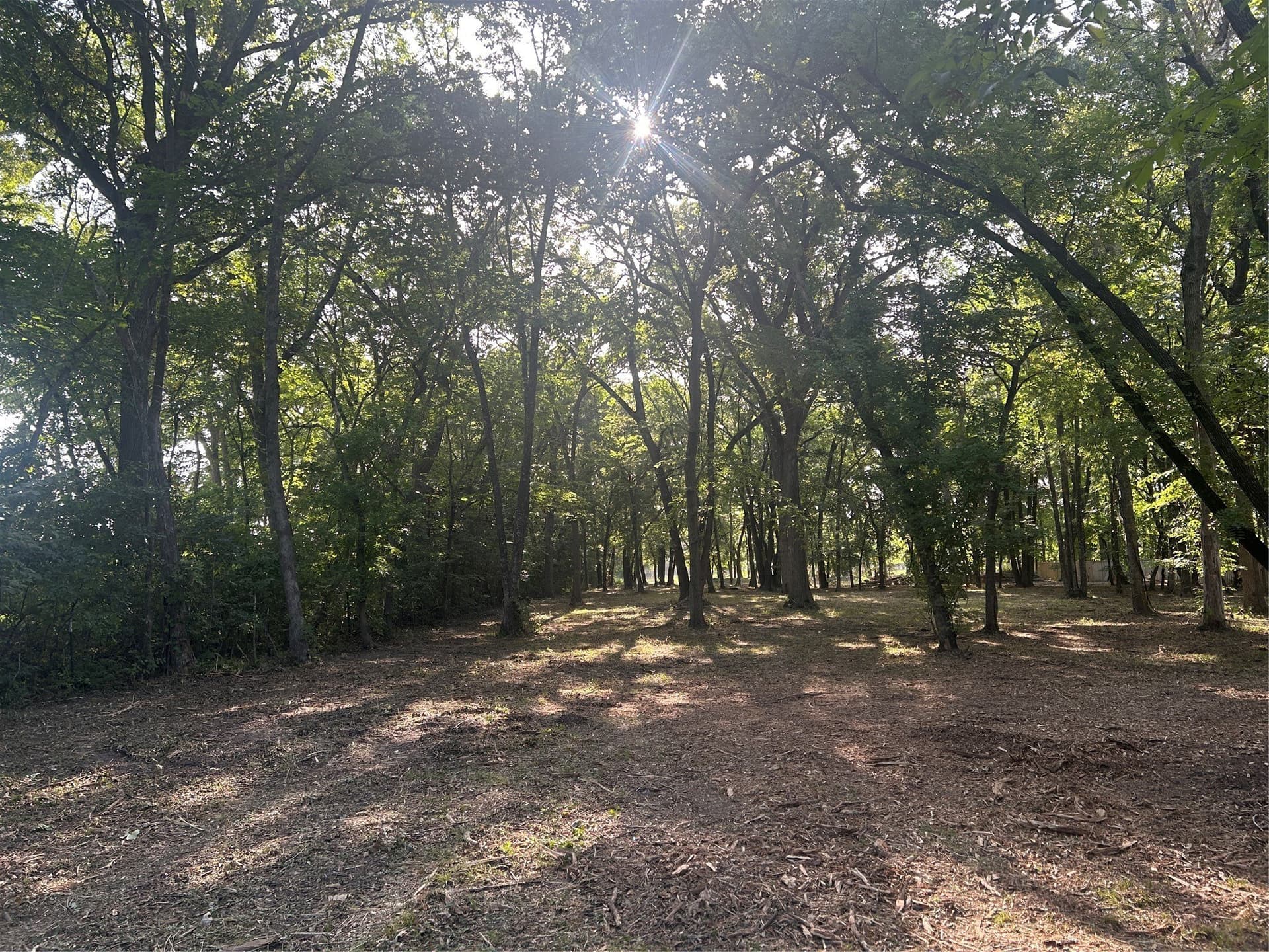 2.33 acres in Collin County - photo 8