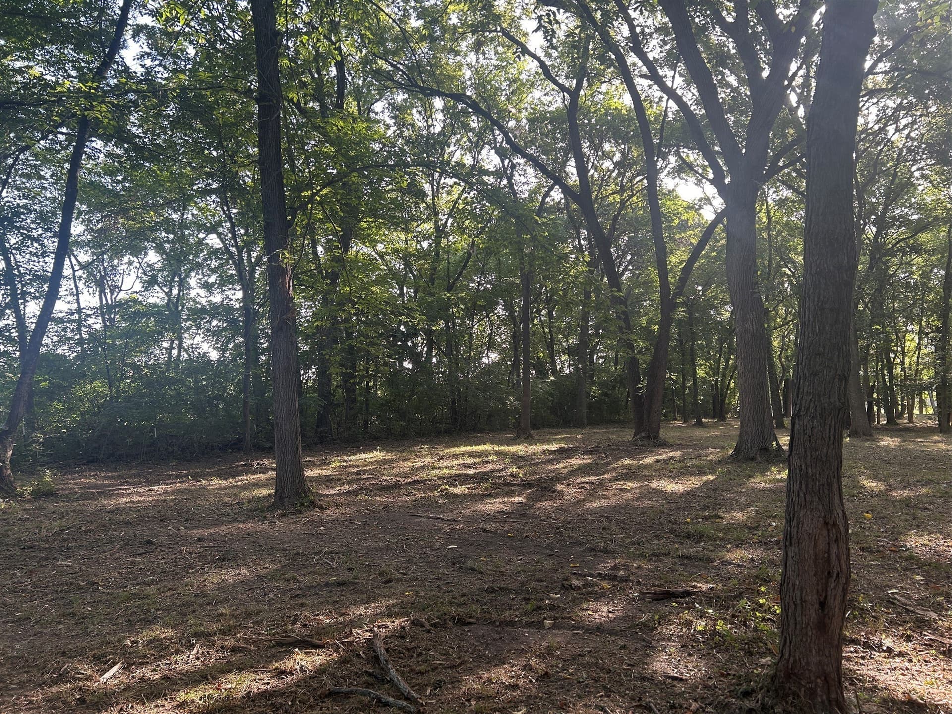 2.33 acres in Collin County - photo 4
