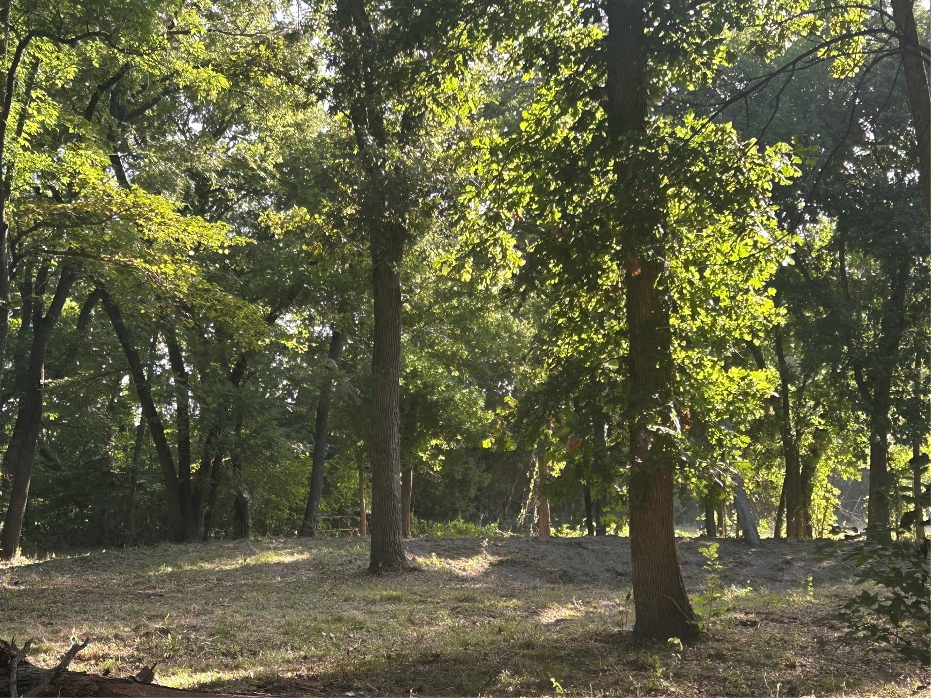2.33 acres in Collin County - photo 6