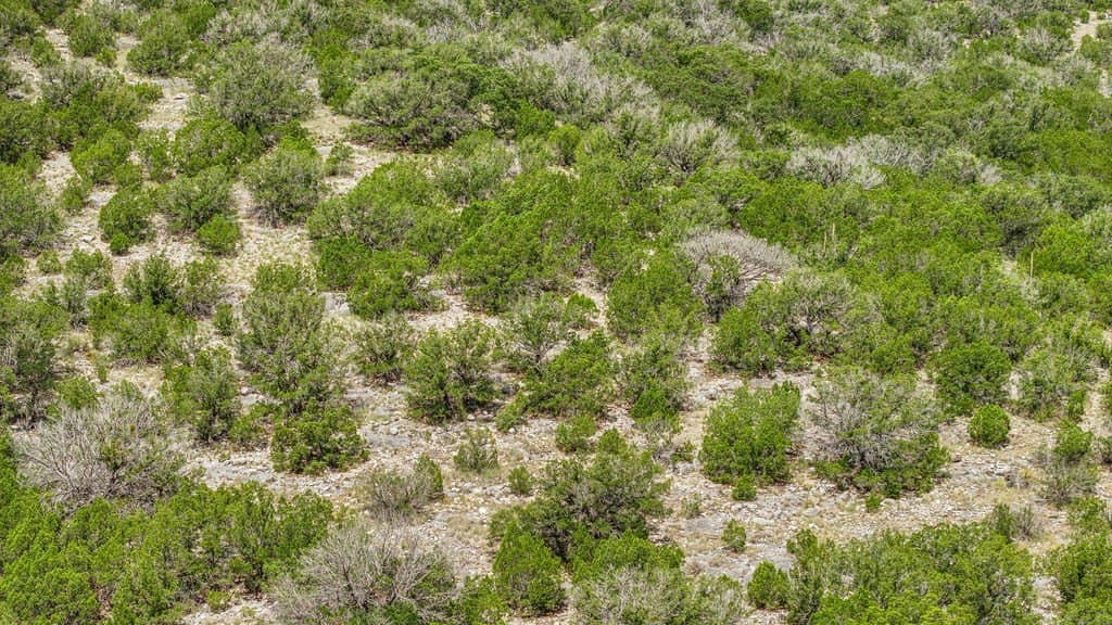53.1 acres in Edwards County - photo 36