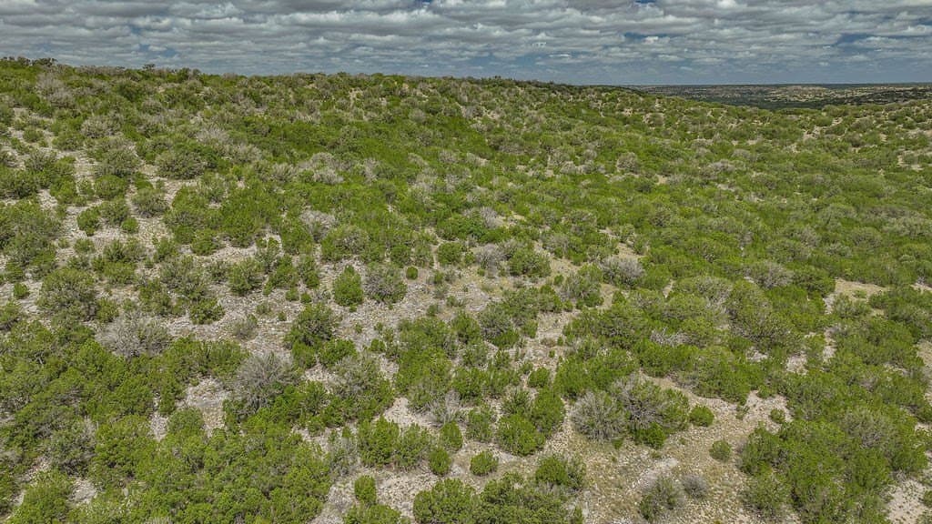 53.1 acres in Edwards County - photo 34