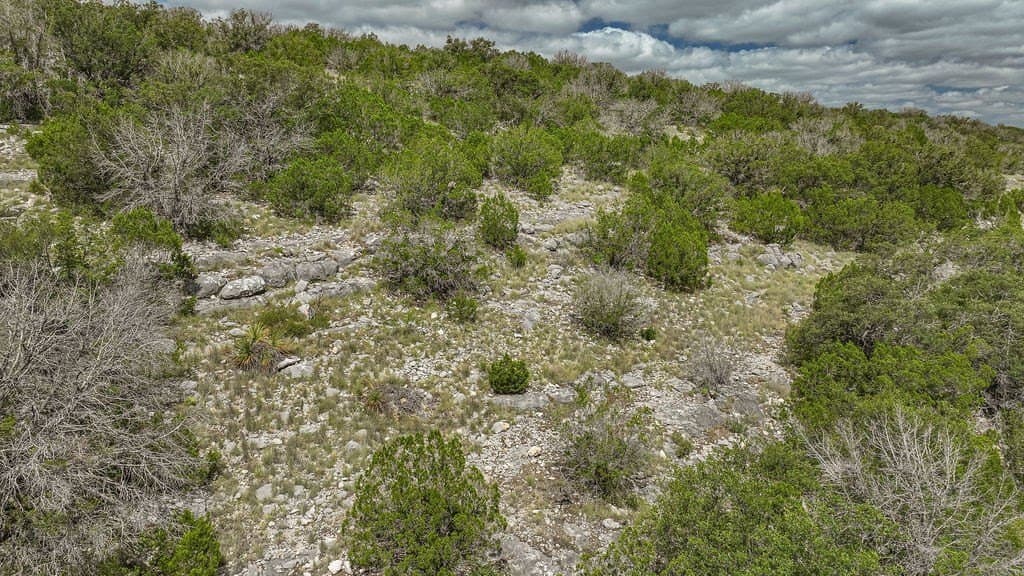 53.1 acres in Edwards County - photo 38