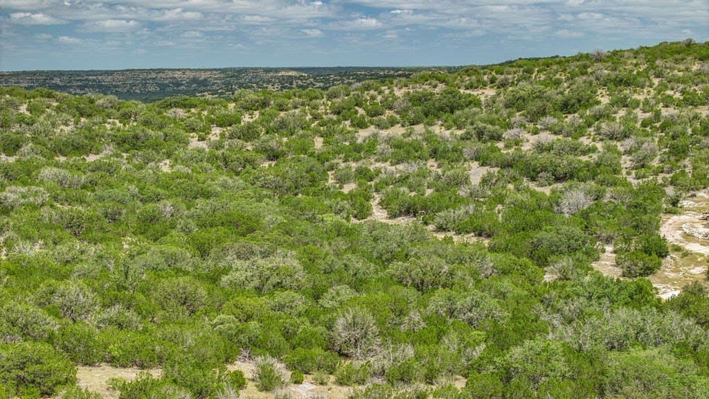 53.1 acres in Edwards County - photo 35