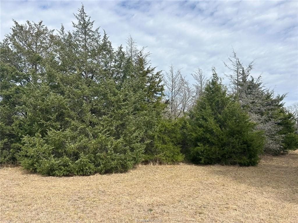 5.17 acres in Brazos County - photo 6