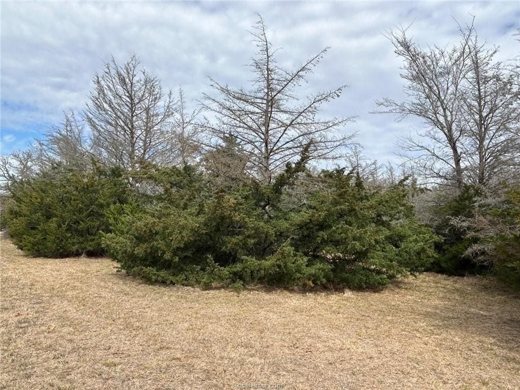 5.17 acres in Brazos County - photo 11
