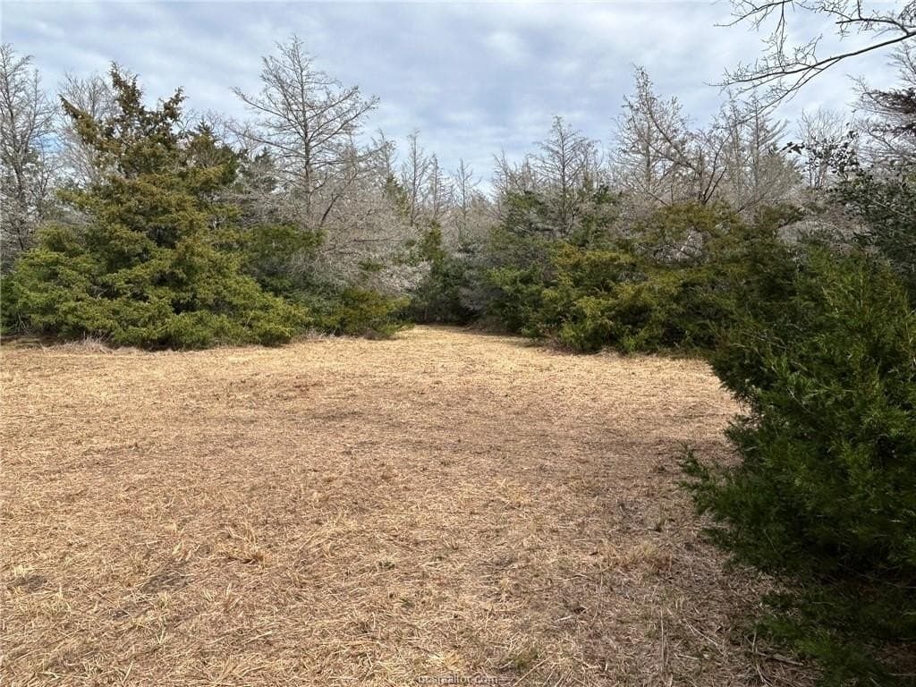 5.17 acres in Brazos County - photo 13