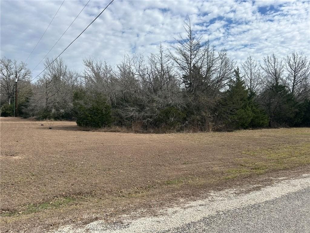5.17 acres in Brazos County - photo 18