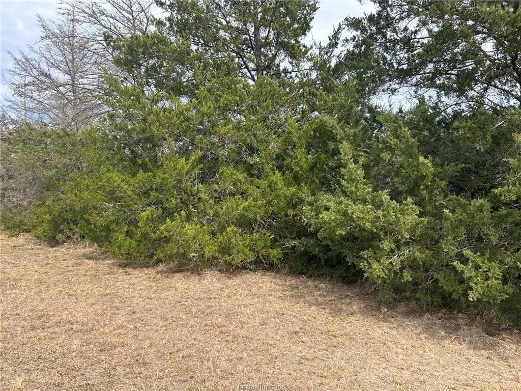 5.17 acres in Brazos County - photo 7