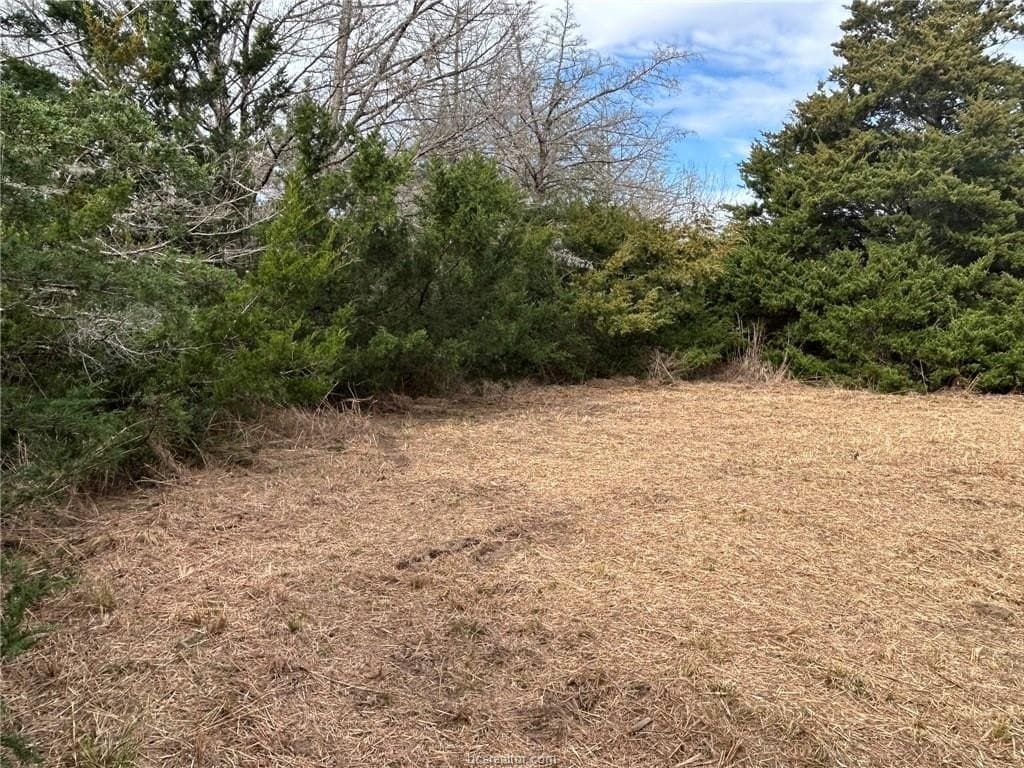 5.17 acres in Brazos County gallery image 2