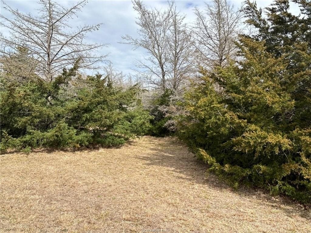 5.17 acres in Brazos County - photo 10