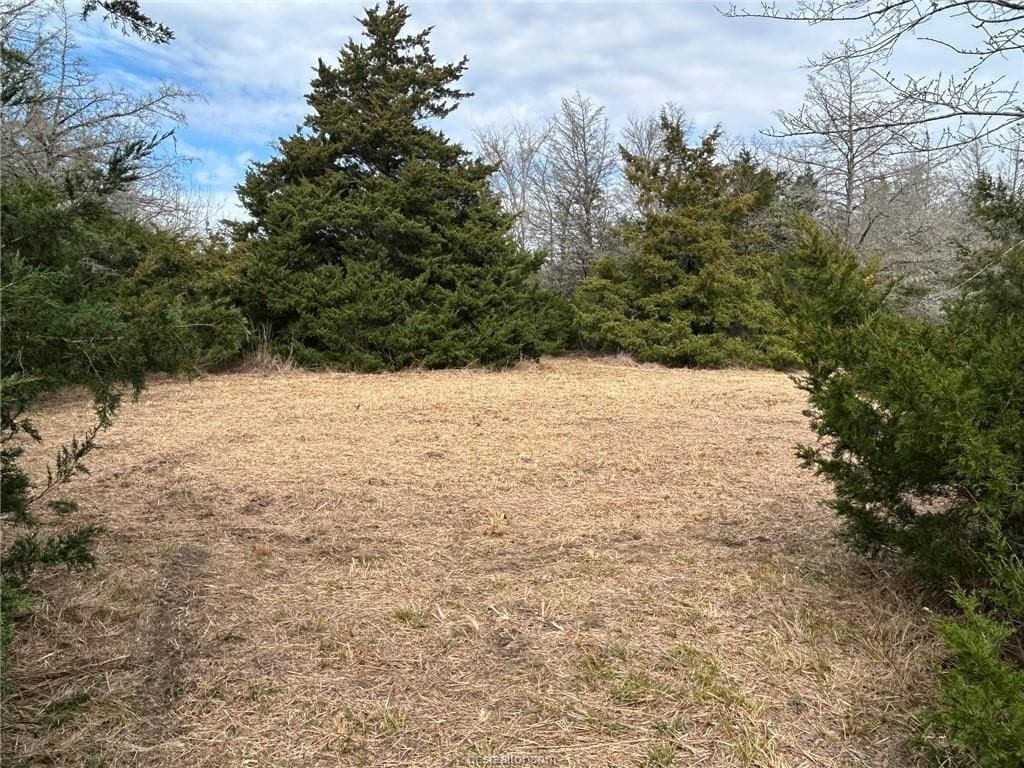 5.17 acres in Brazos County gallery image 4