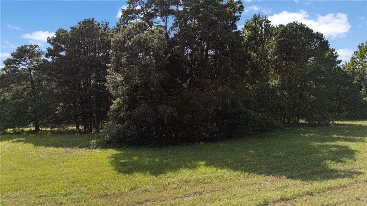 8.71 acres in Cass County - photo 15