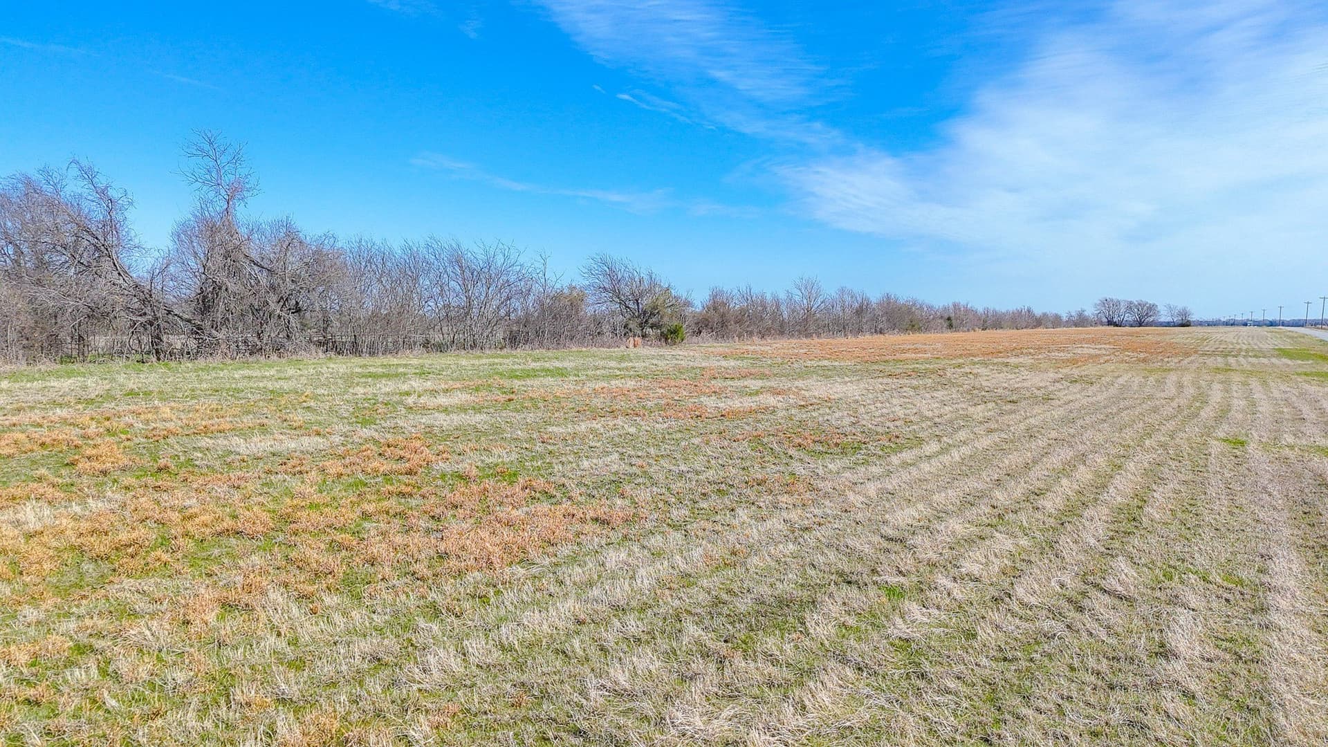1 acres in Navarro County - photo 21