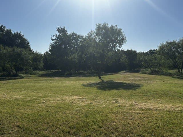 49.33 acres in McCulloch County - photo 11