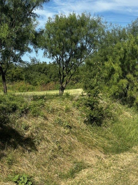 49.33 acres in McCulloch County - photo 17