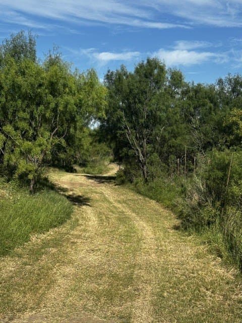 49.33 acres in McCulloch County - photo 16