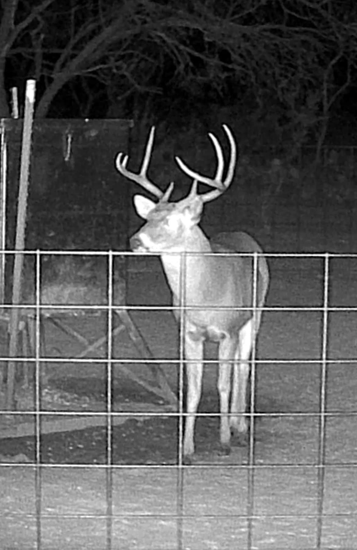 49.33 acres in McCulloch County - photo 9