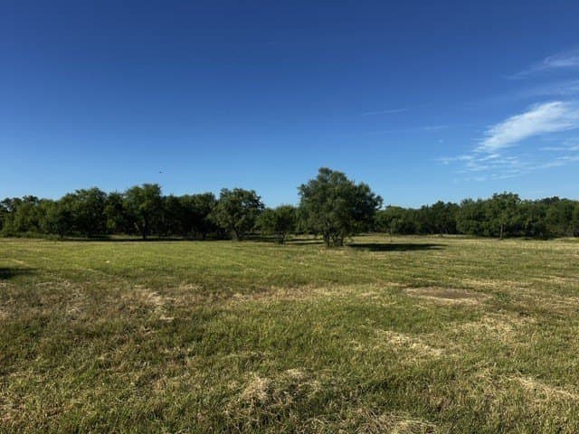 49.33 acres in McCulloch County - photo 8