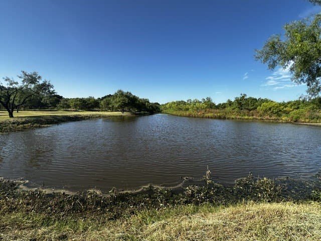 49.33 acres in McCulloch County