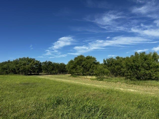 49.33 acres in McCulloch County - photo 7