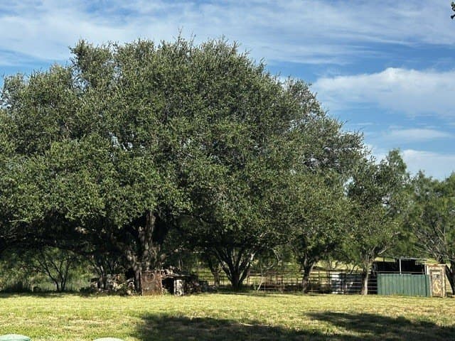 49.33 acres in McCulloch County - photo 5