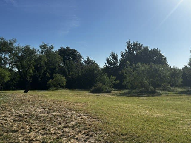 49.33 acres in McCulloch County - photo 14