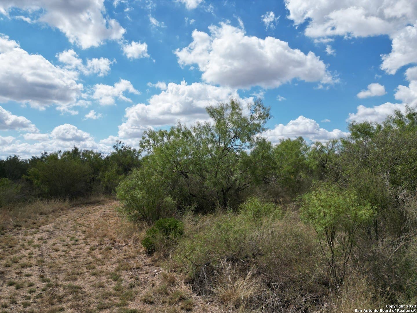 145 acres in Kinney County - photo 28