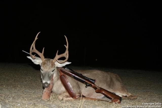 145 acres in Kinney County - photo 48
