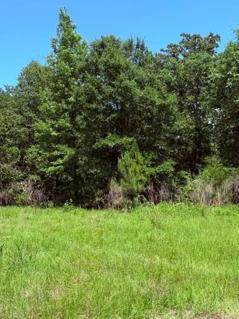 18 acres in Henderson County - photo 18
