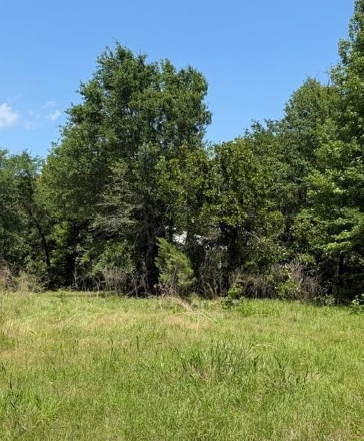 18 acres in Henderson County - photo 17