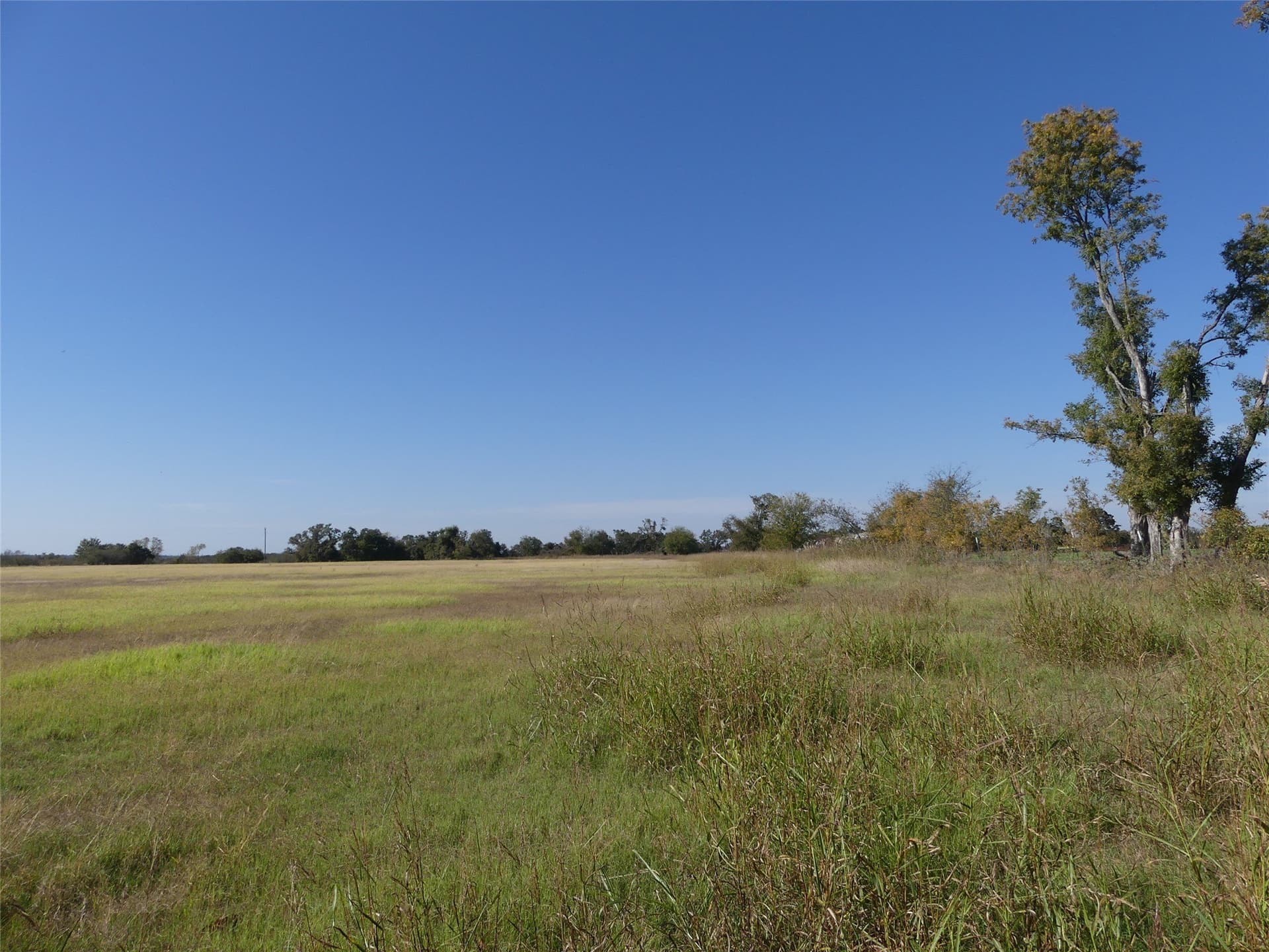 20 acres in Montague County - photo 8